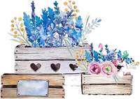 boxes of spring flowers